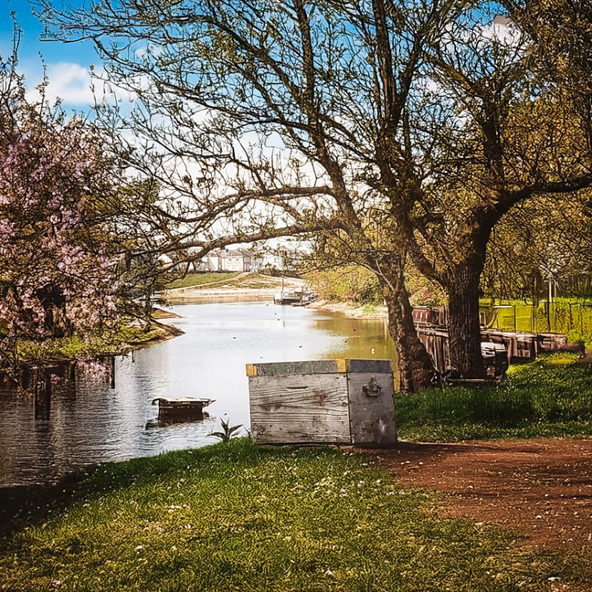 Locations de vacances en bord de Loire
